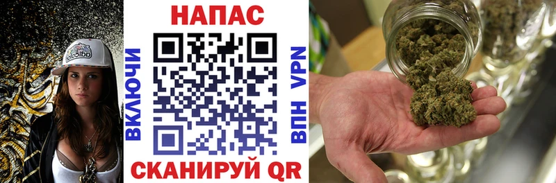 дарнет шоп  omg вход  Каннабис сатива  Фокино 